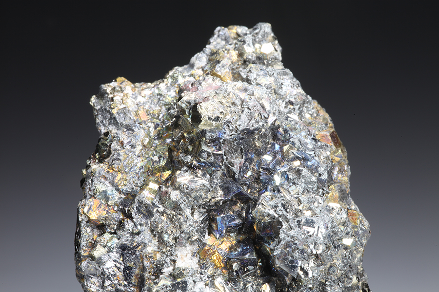 Freibergite & Pyrite