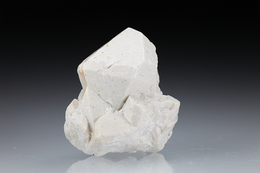 Talc Psm Quartz