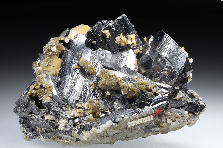 Ferberite Siderite Fluorapatite Pyrite & Muscovite