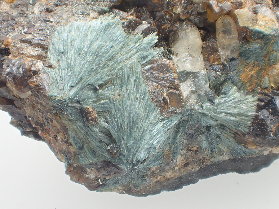 Gormanite