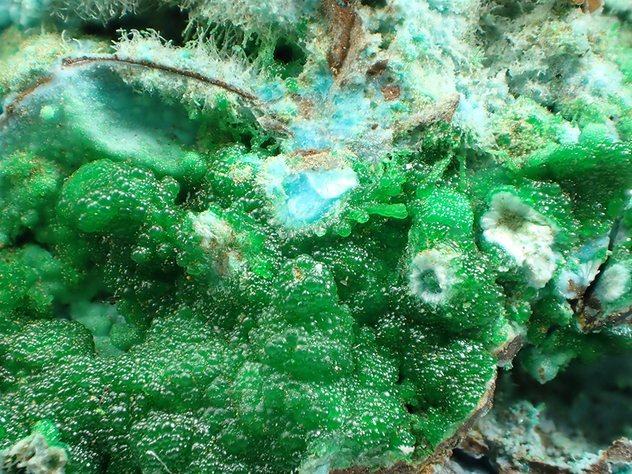 Agardite-(Nd) & Conichalcite