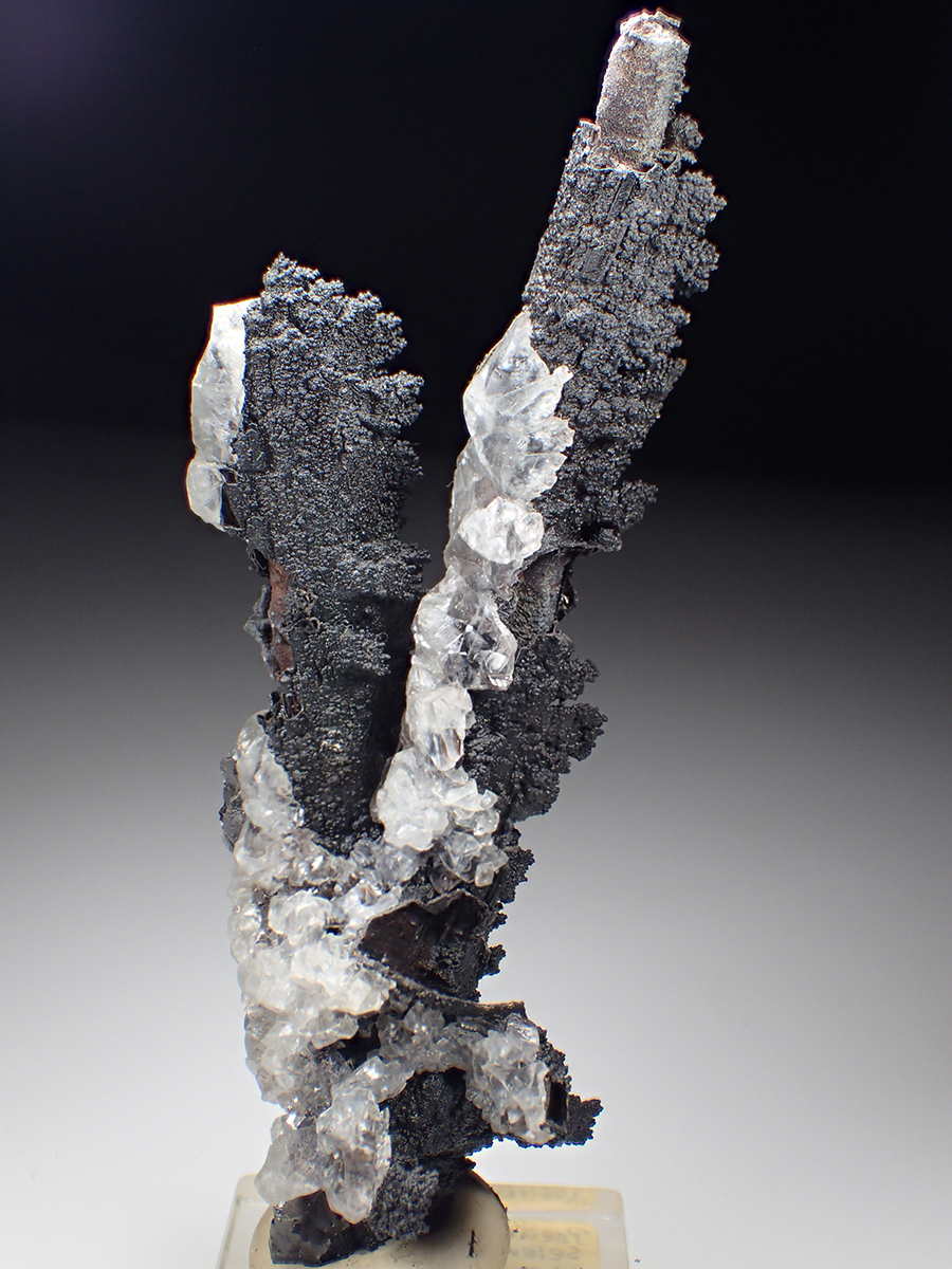 Goethite Psm Selenite & Calcite