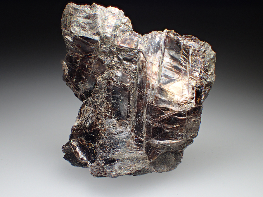 Phlogopite