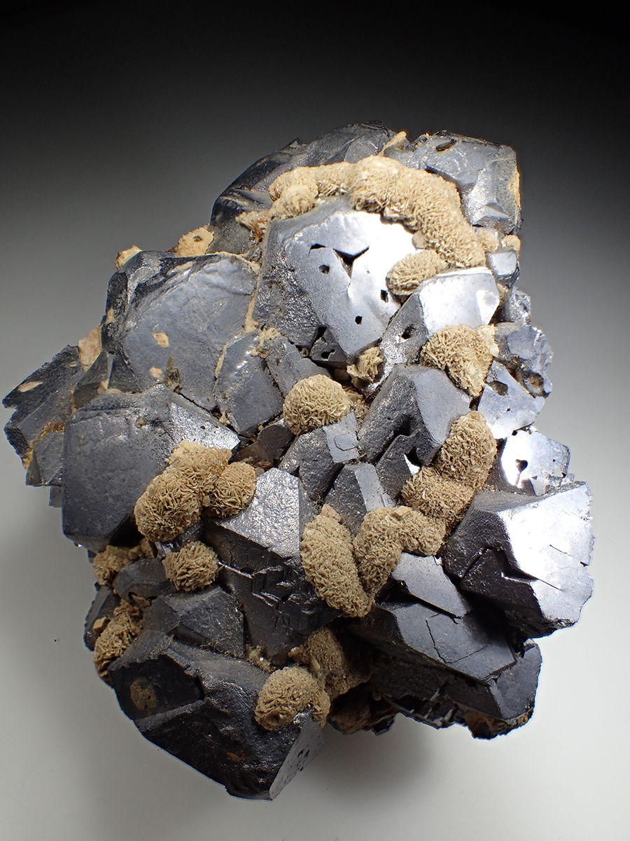 Galena & Siderite