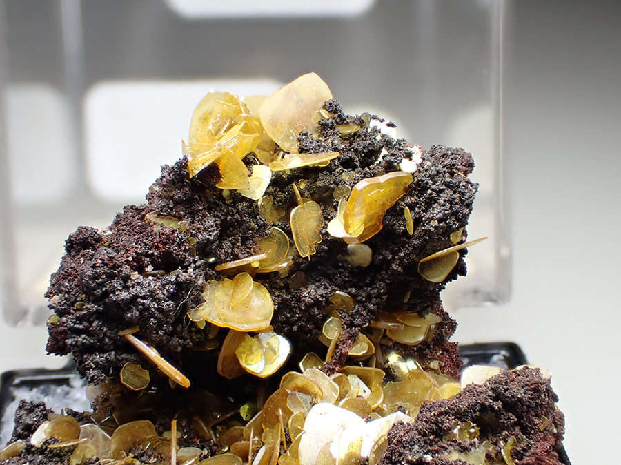 Wulfenite