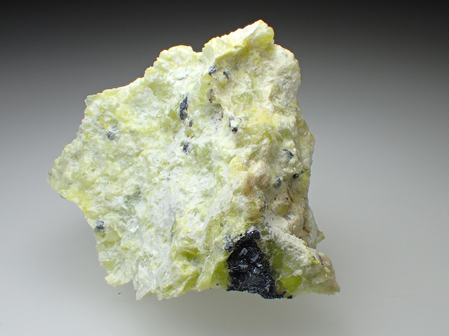 Lizardite & Hydrotalcite