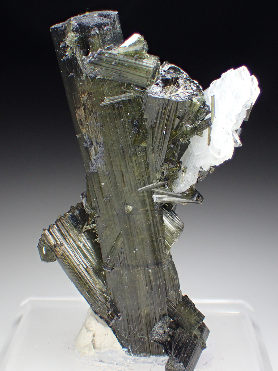 Tourmaline & Albite