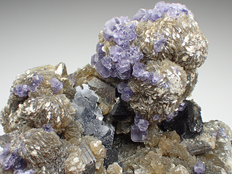 Fluorite Siderite & Arsenopyrite