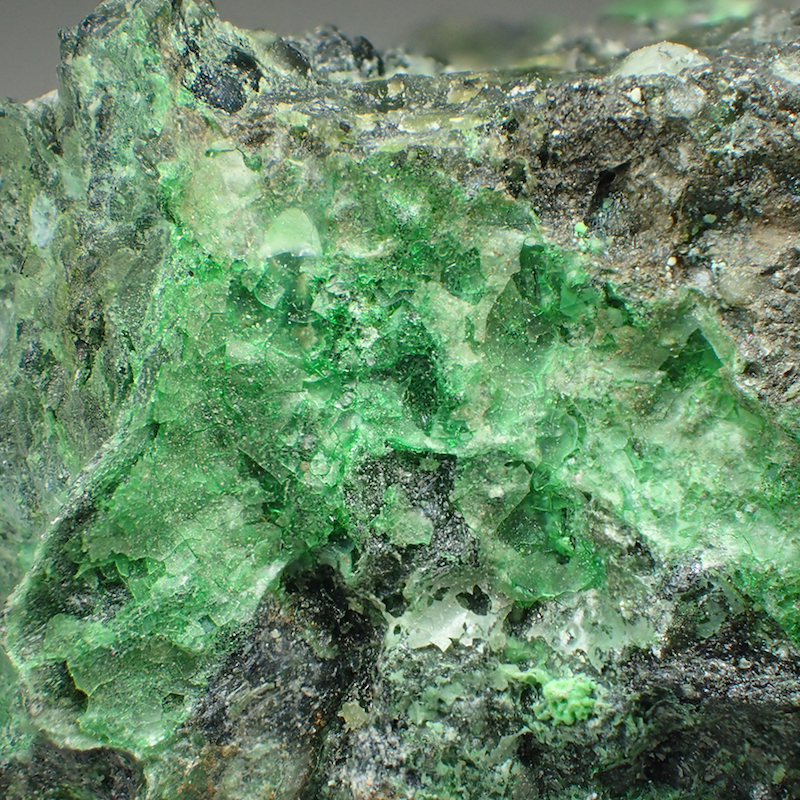 Hellyerite & Zaratite