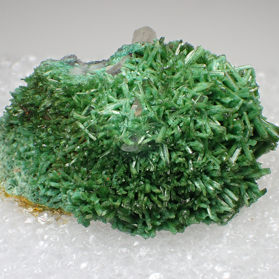 Cuprian Adamite