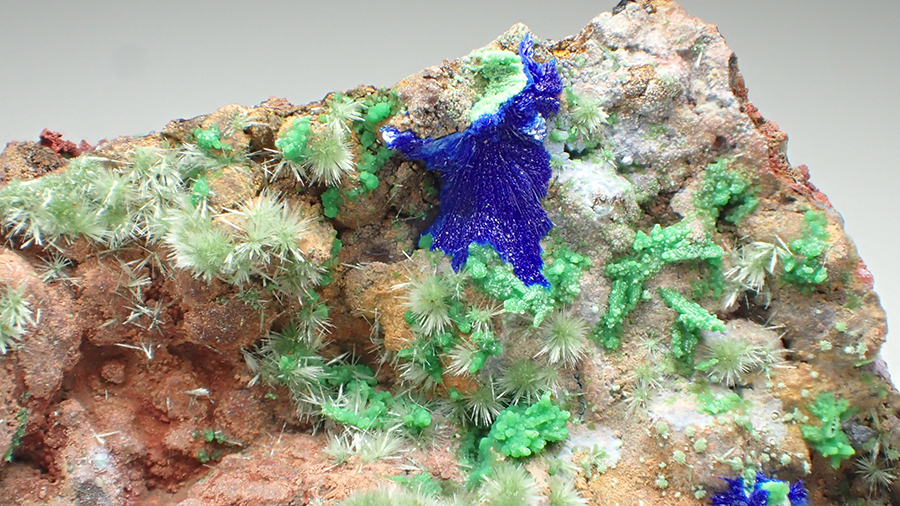 Olivenite Conichalcite & Azurite