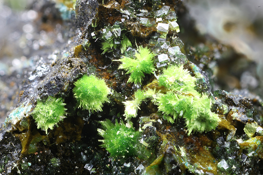 Arthurite & Pharmacosiderite