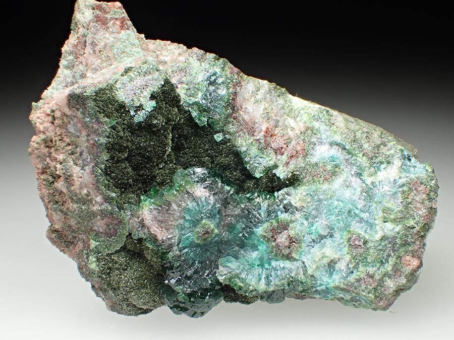 Cobaltoan Adamite & Cuprian Adamite