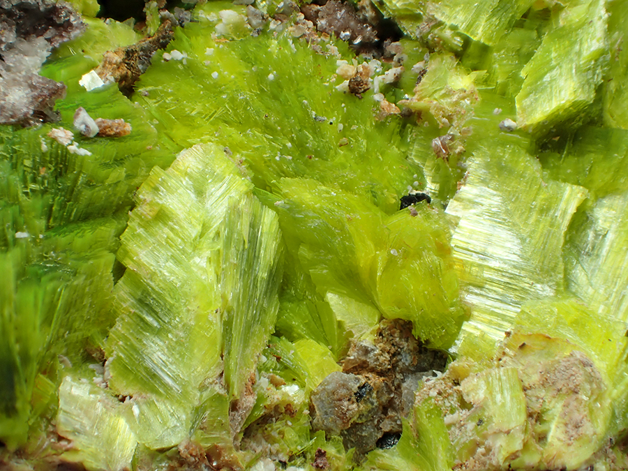 Autunite