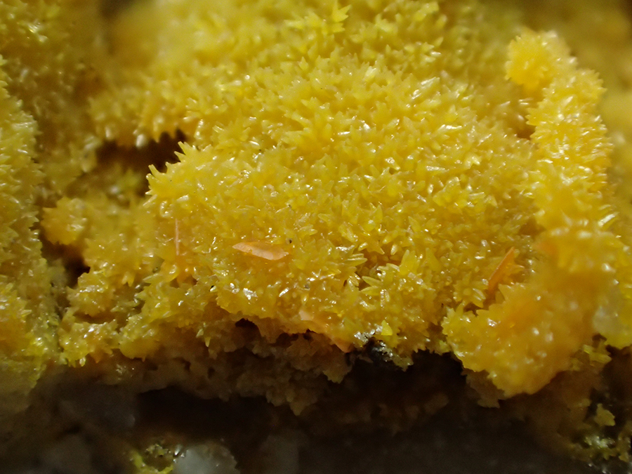 Pyromorphite Wulfenite & Cerussite