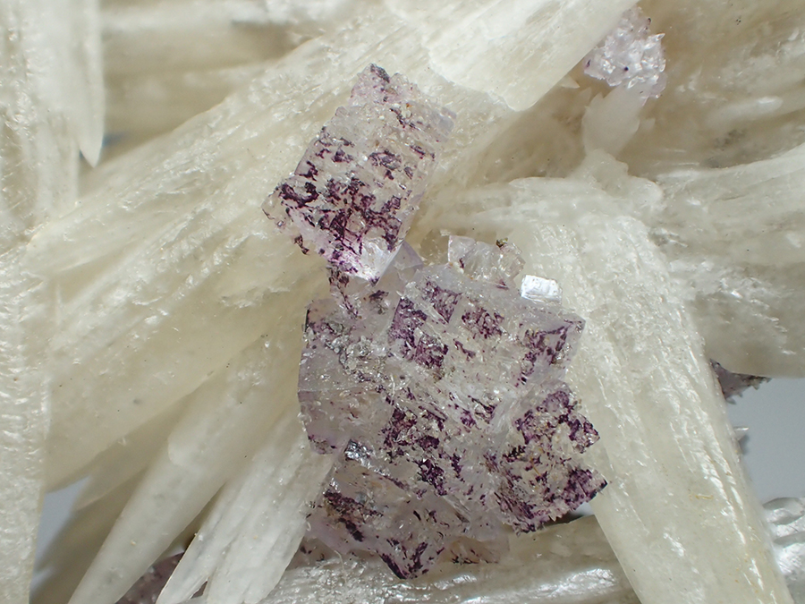 Calcite Var Strontianite & Fluorite