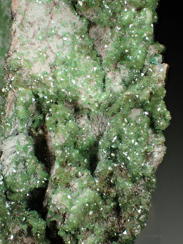 Cobaltoan Adamite