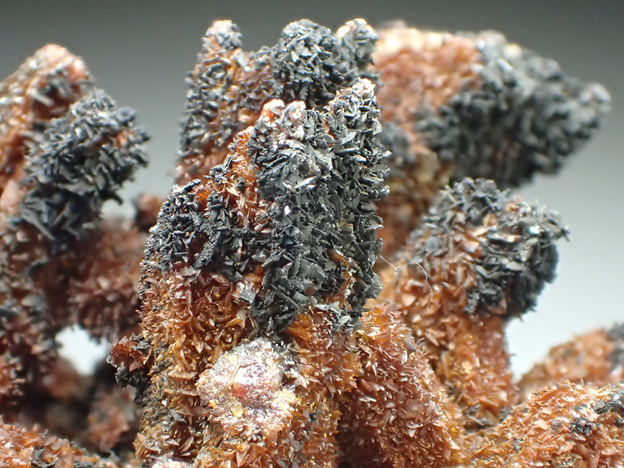 Descloizite & Vanadinite