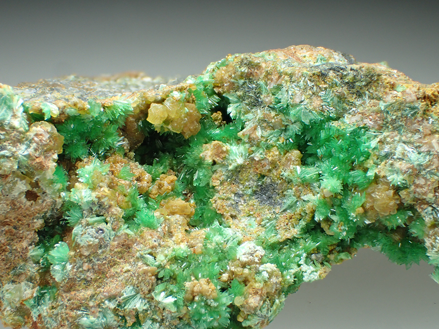 Annabergite