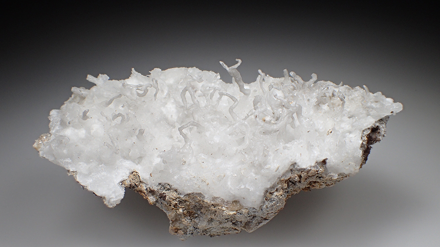 Aragonite Var Flos Ferri