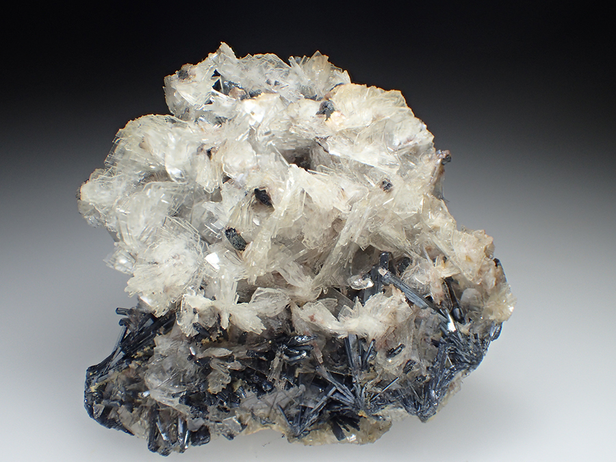 Baryte & Stibnite