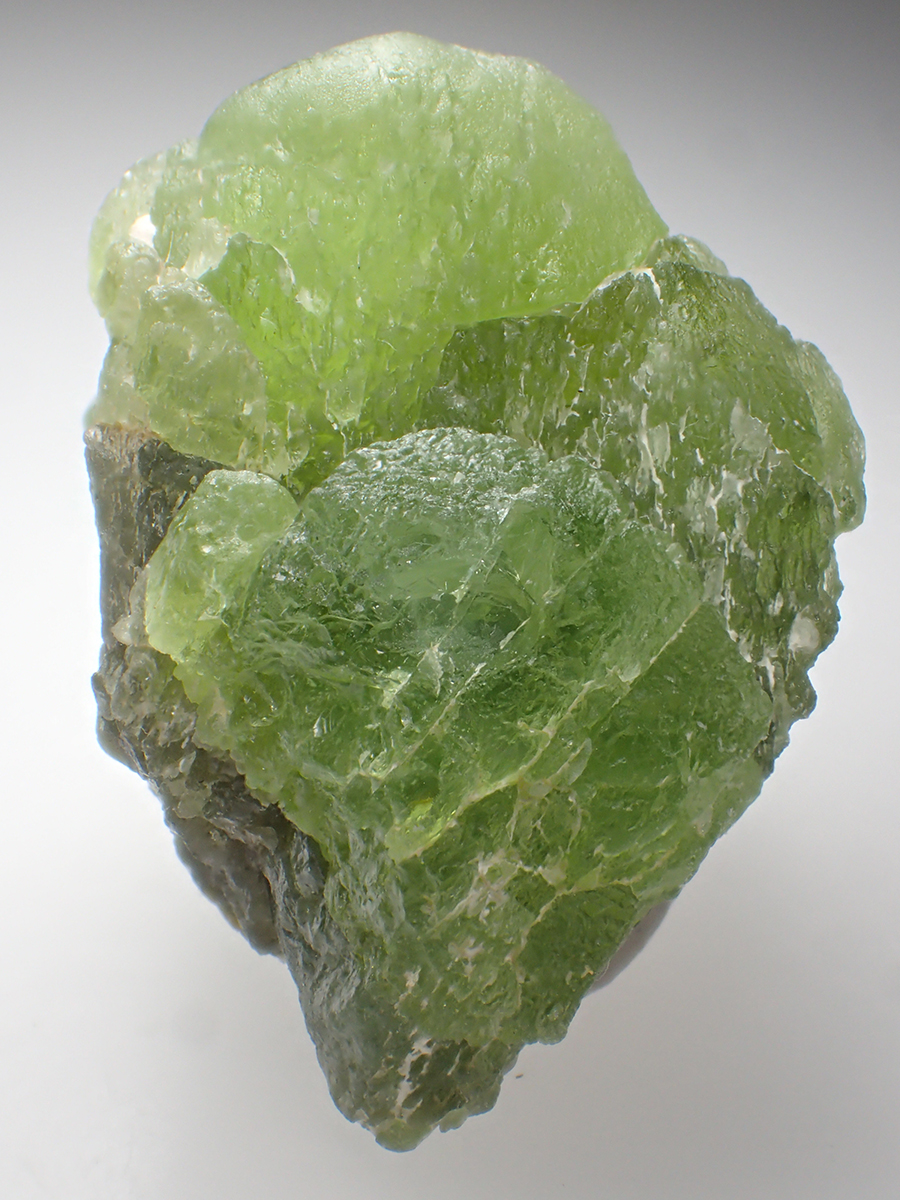 Forsterite