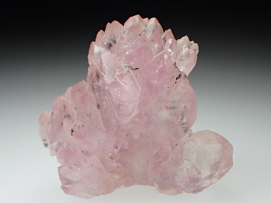 Rose Quartz