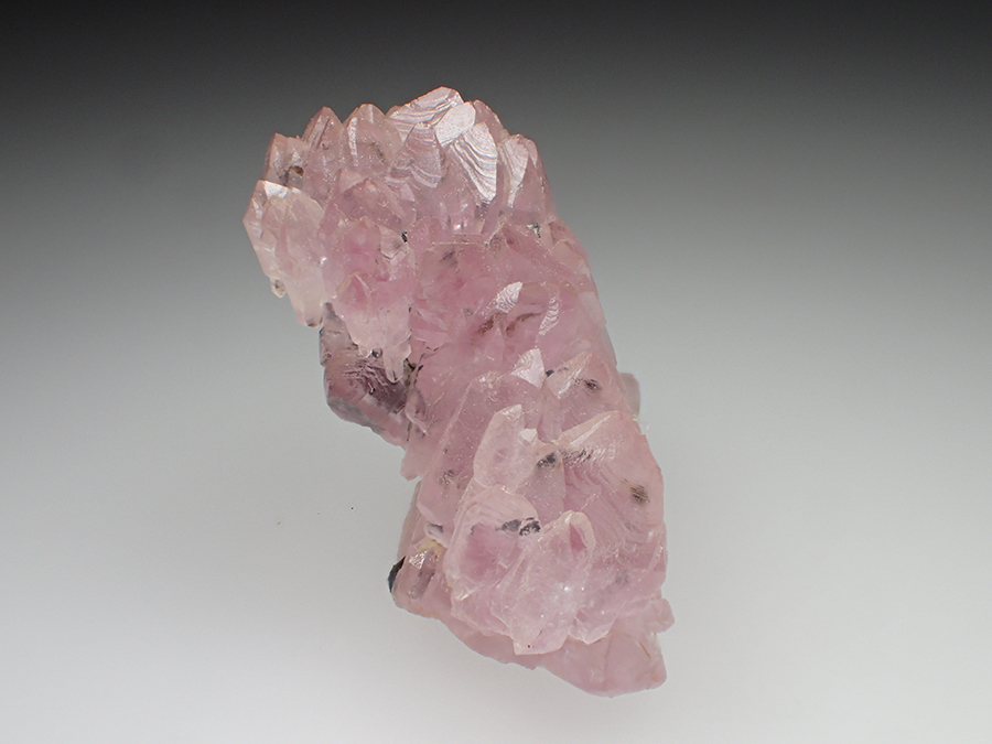 Rose Quartz