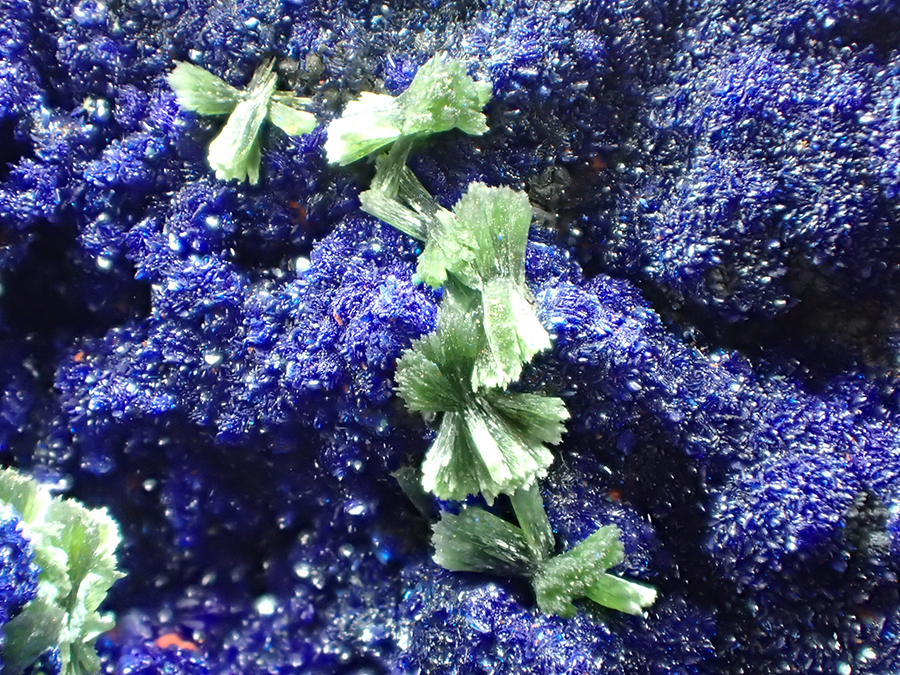 Azurite & Olivenite