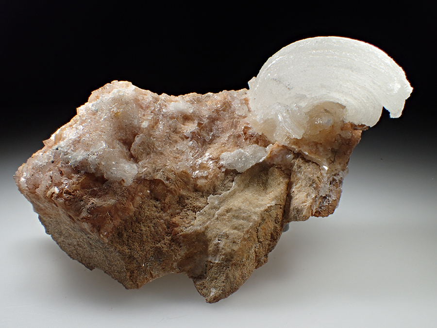 Gypsum Var Selenite