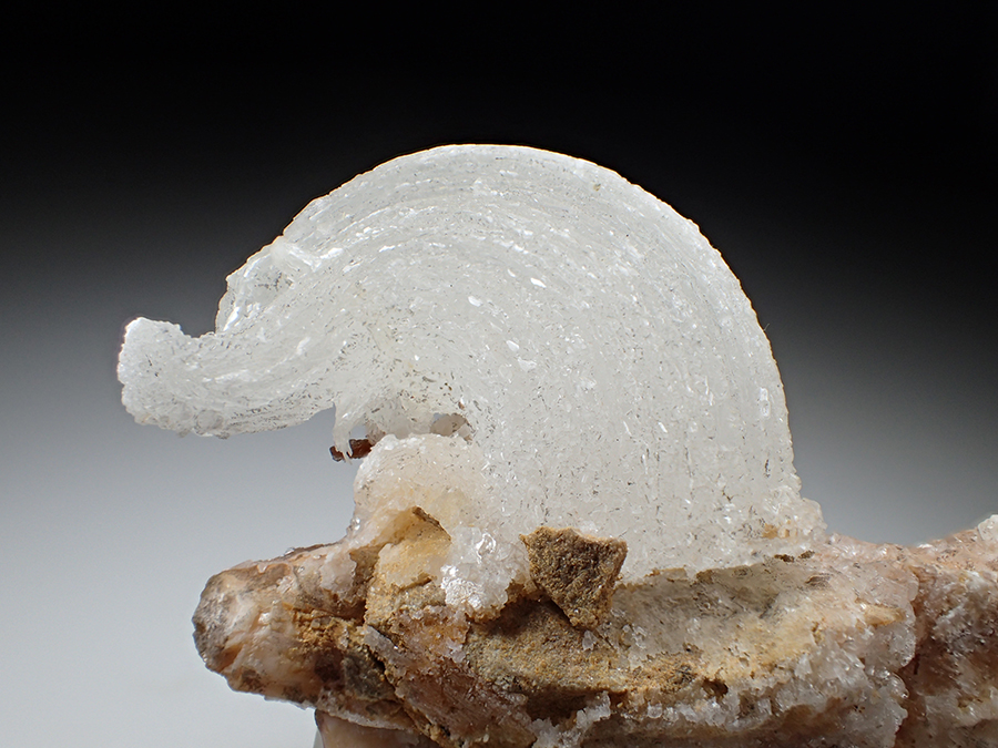 Gypsum Var Selenite