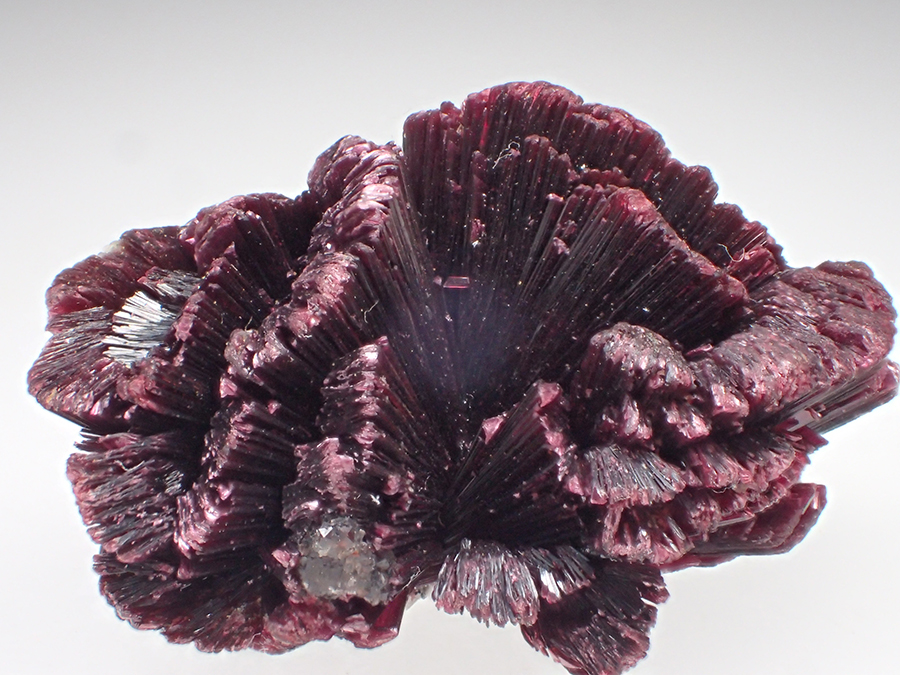 Erythrite