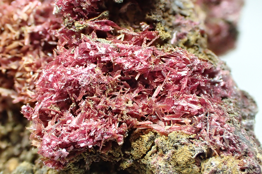 Erythrite