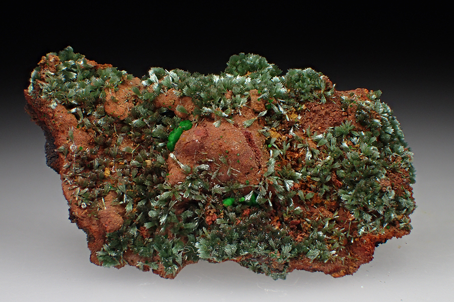 Olivenite