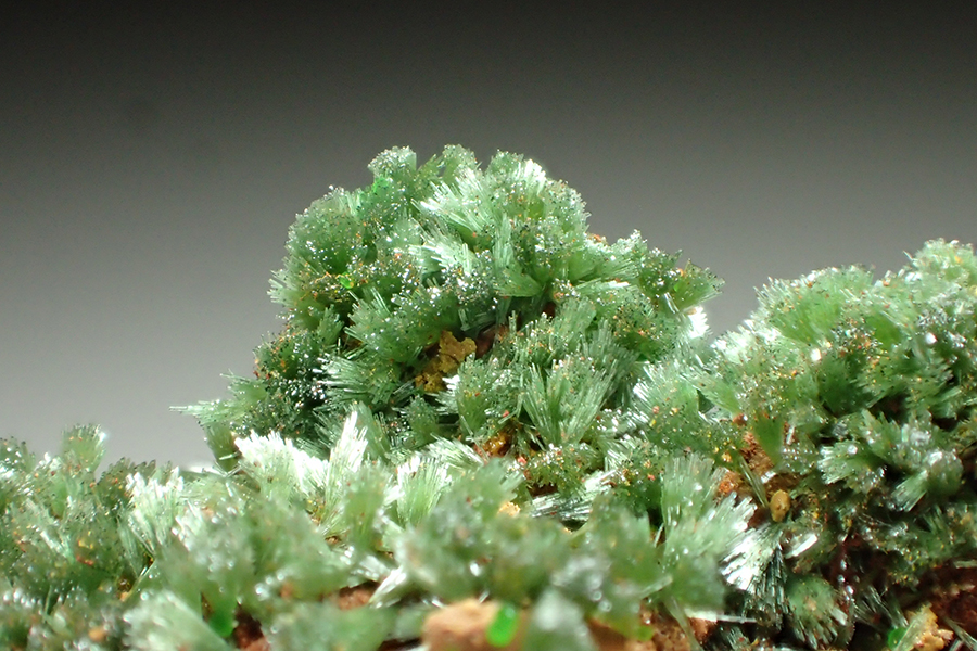 Olivenite