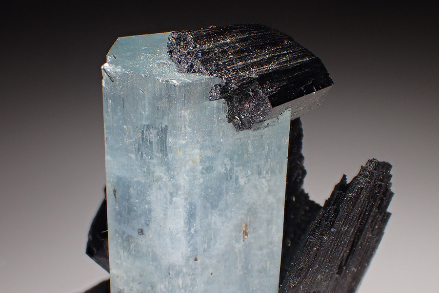 Aquamarine & Schorl