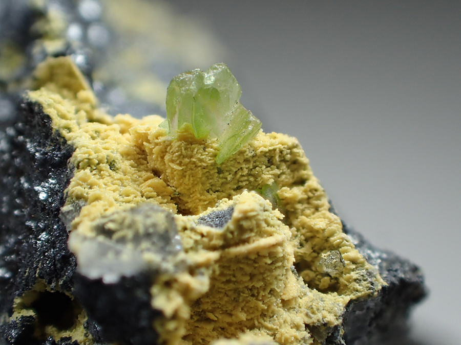 Tsumcorite & Cuprian Adamite