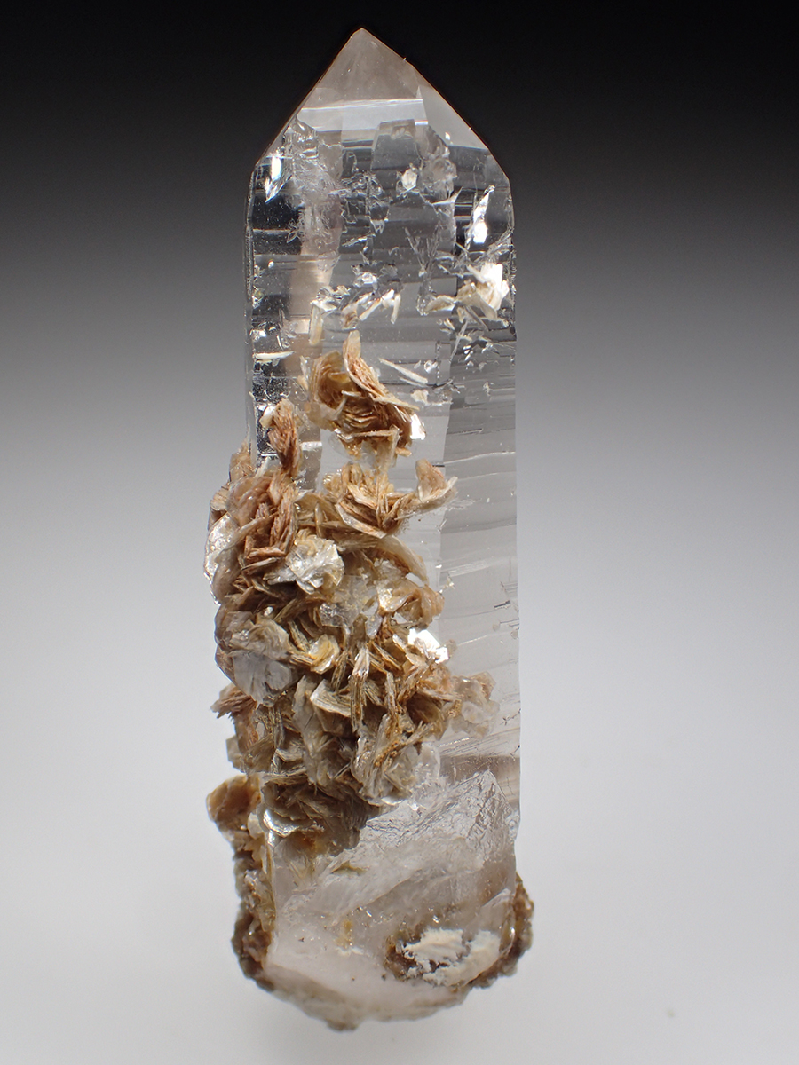 Quartz & Muscovite