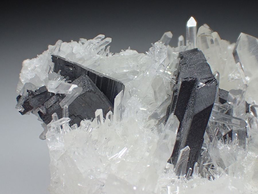 Ferberite & Quartz