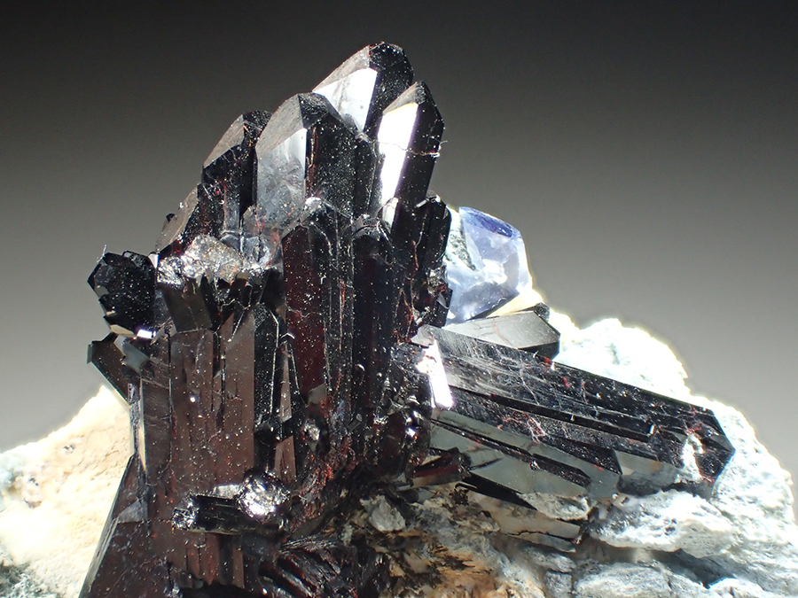 Neptunite & Benitoite