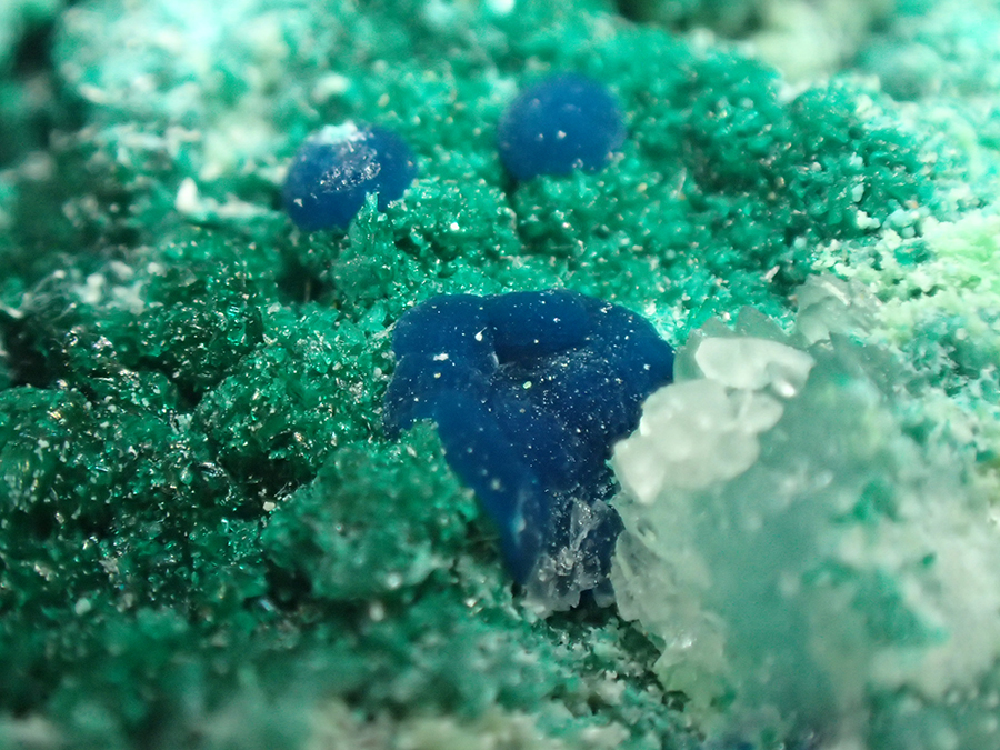 Arhbarite & Conichalcite