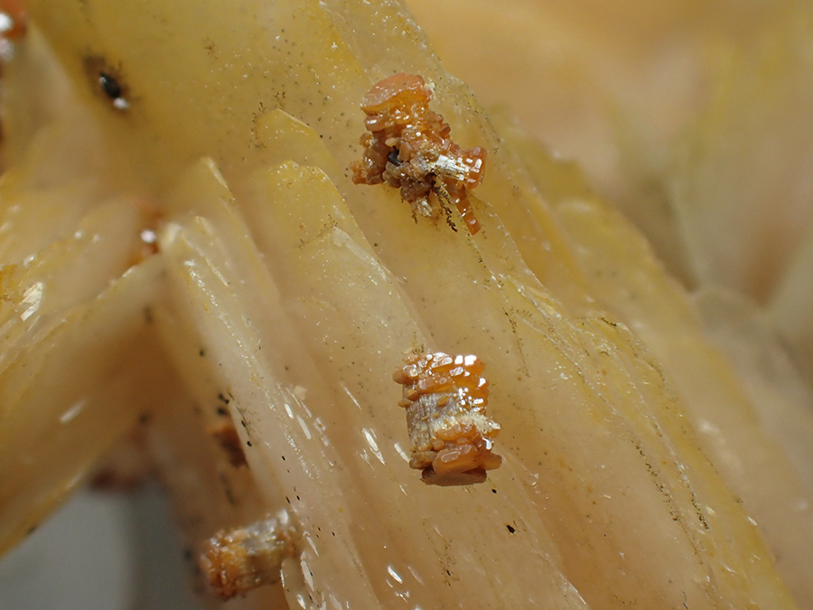 Baryte & Vanadinite