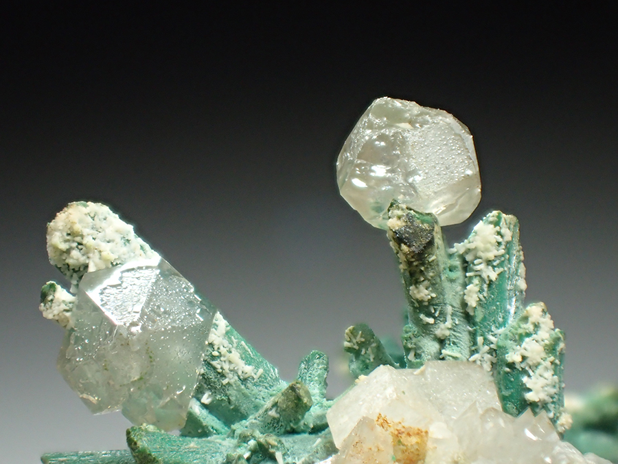 Cerussite & Malachite Psm Azurite & Calcite