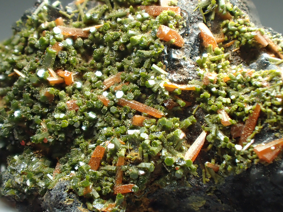 Crocoite & Pyromorphite