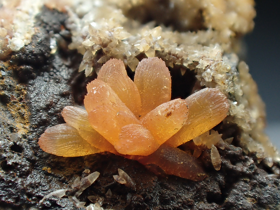 Rhodochrosite