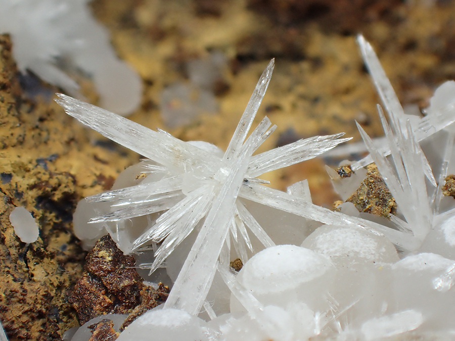 Aragonite & Calcite