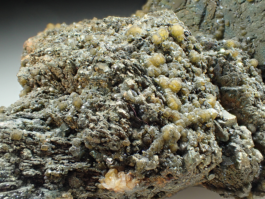 Pyrite Psm Pyrrhotite & Siderite