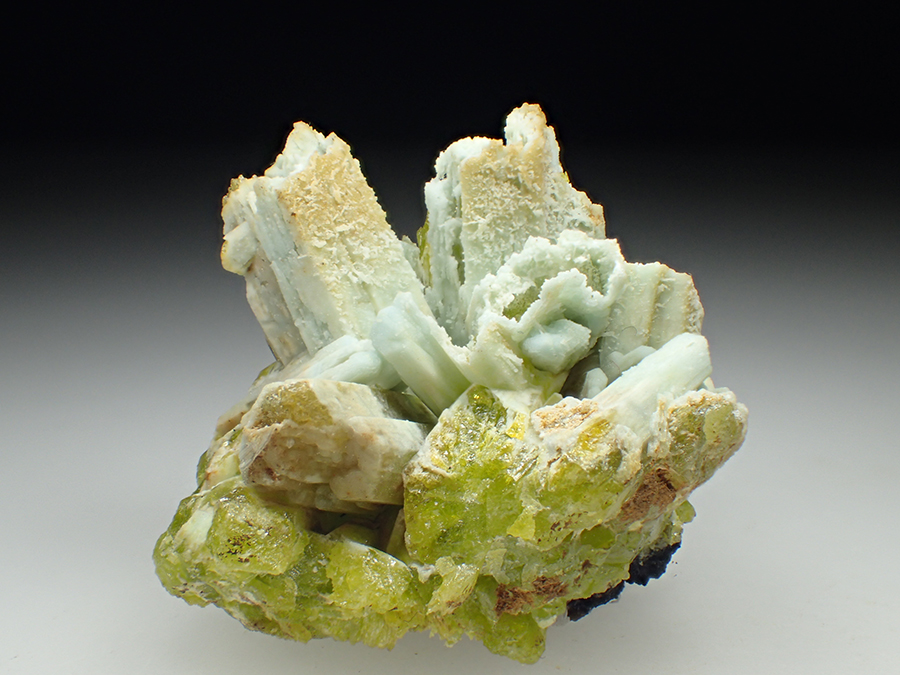 Plumbogummite Psm Pyromorphite