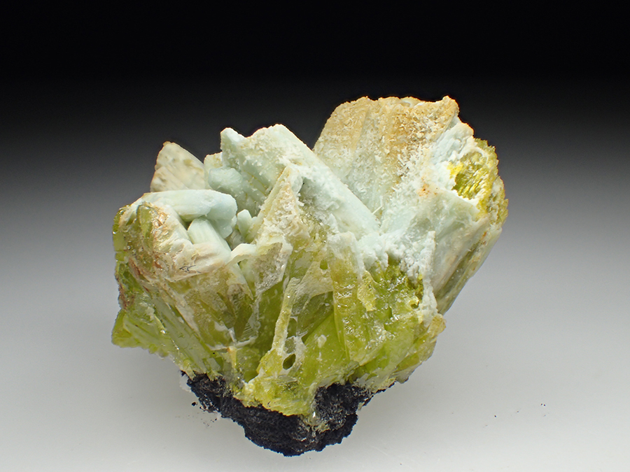 Plumbogummite Psm Pyromorphite