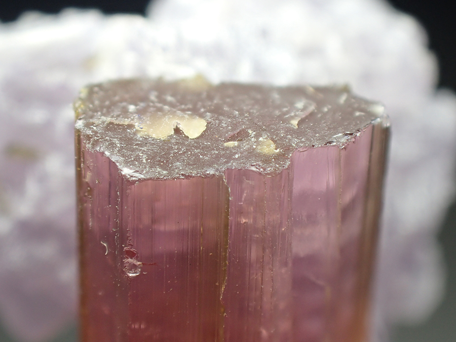 Rubellite & Lepidolite